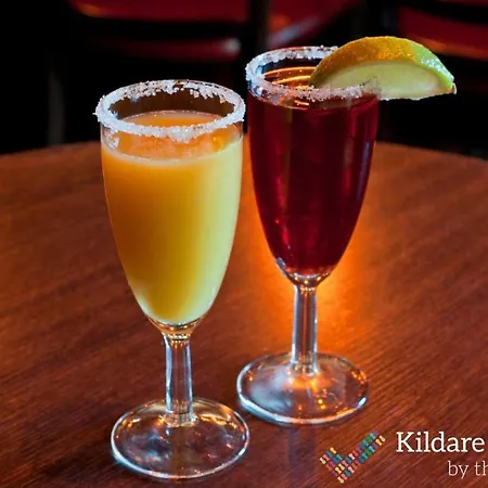 The Kildare Street By Thekeycollections 2* Dublín