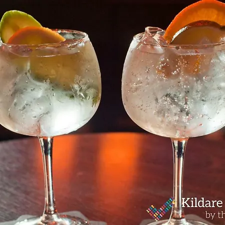The Kildare Street By Thekeycollections 2* דבלין